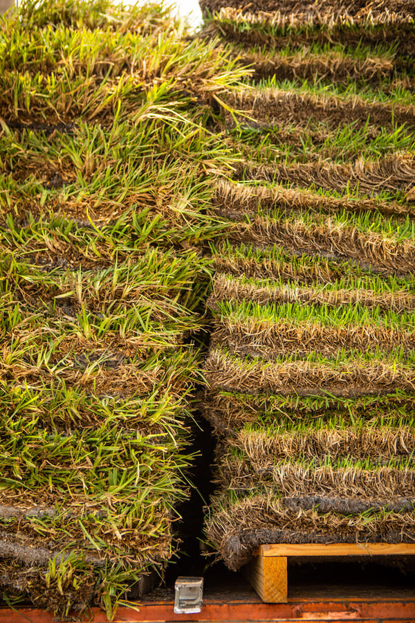 pallets of sod