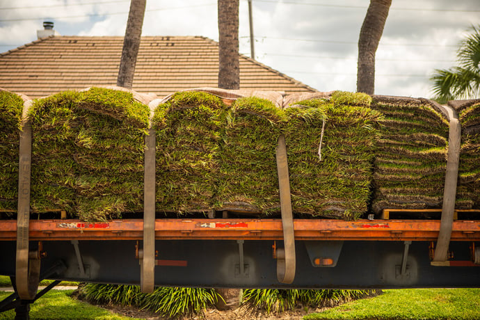 healthy sod delivery and installation