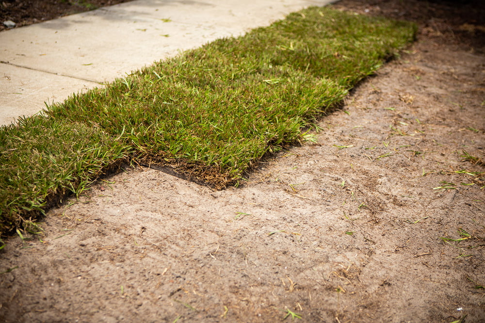 quality sod being installed