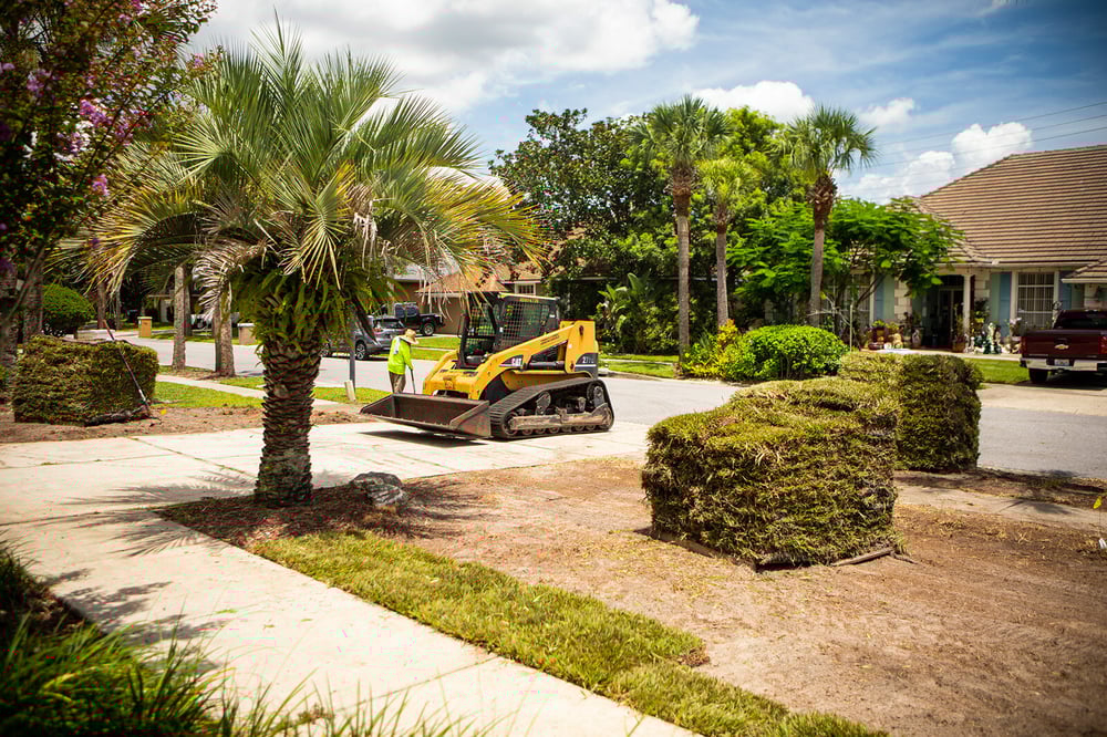 Sod being installed