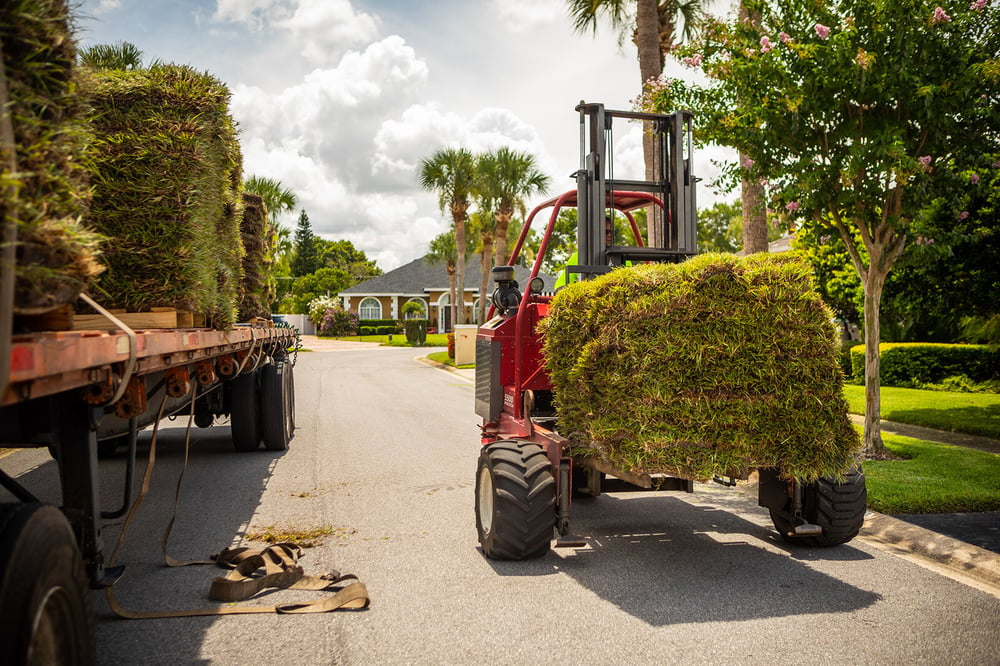 freshly cut sod being placed in a new lawn