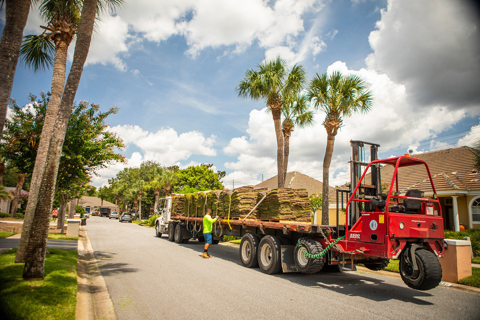 Sod being delivered after being harvested