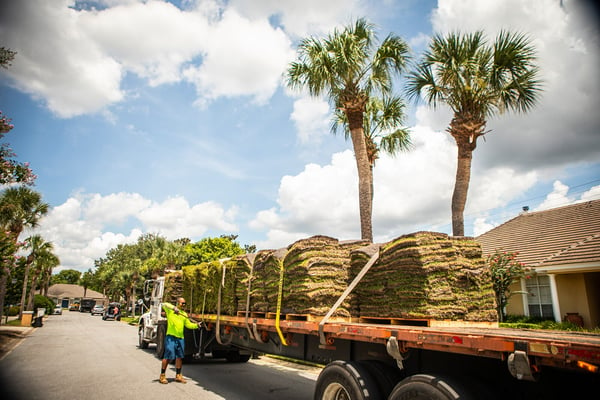 Sod being delivered by a truck