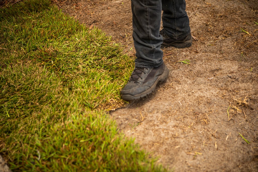 Sod installation on level lawn