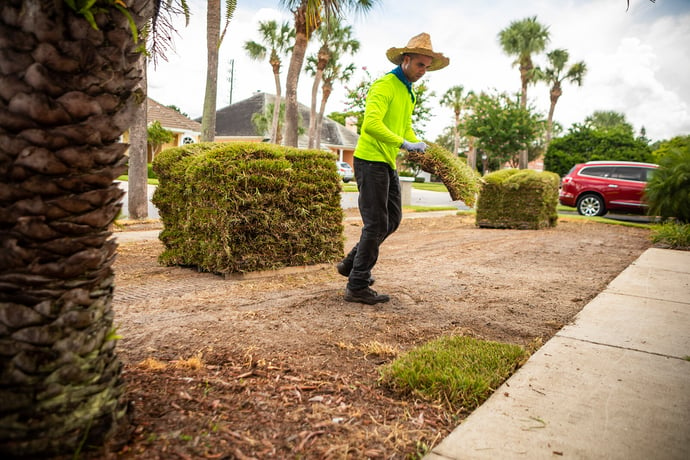 team sod installation