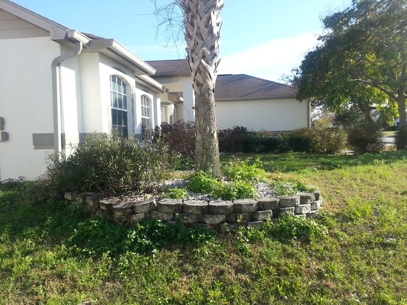 Clermont Landscape Design Project