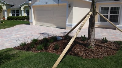 Orlando Landscape Design