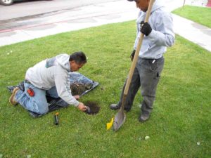 Irrigation repair in Orlando, FL