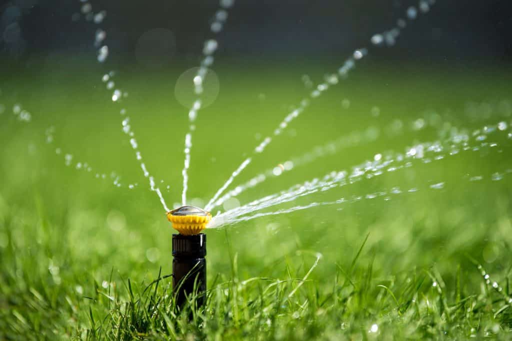 sprinkler overwatering lawn