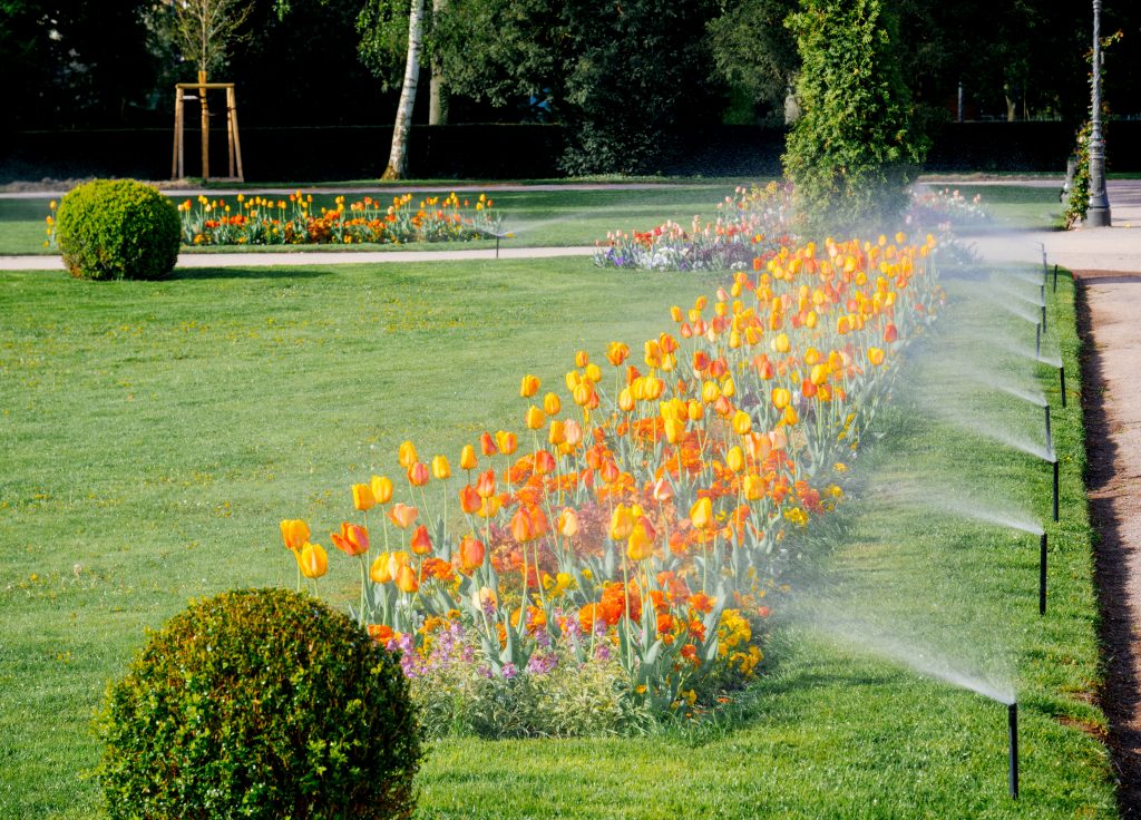 landscape irrigation system spraying plants