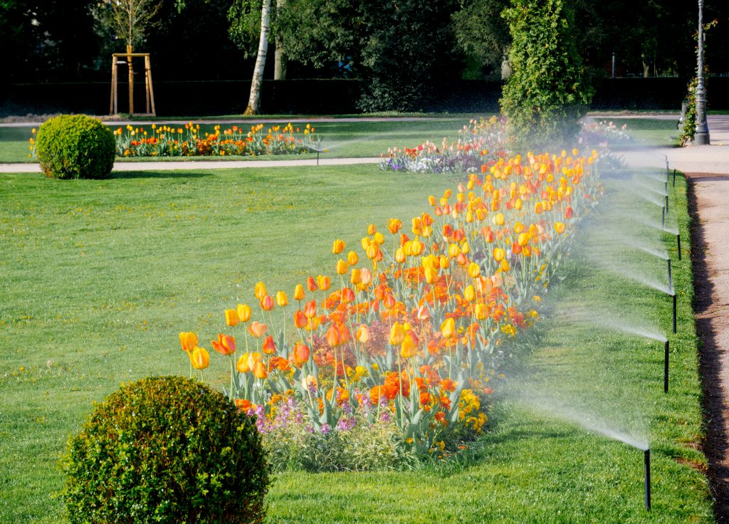 lawn irrigation system sprinkling lawn and flower beds
