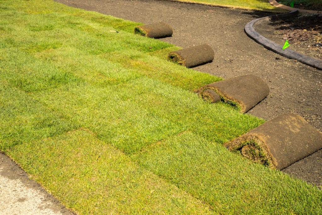 Florida sod installation