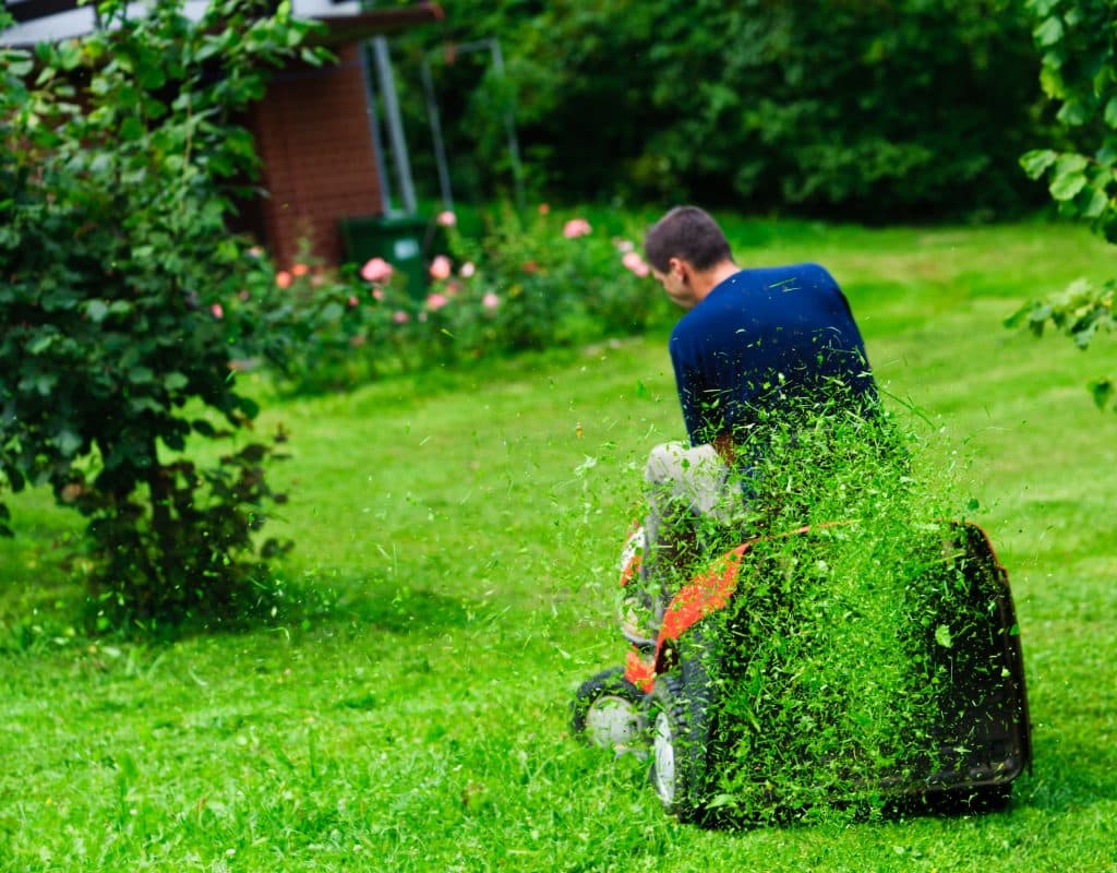 homeowner mowing new sod 