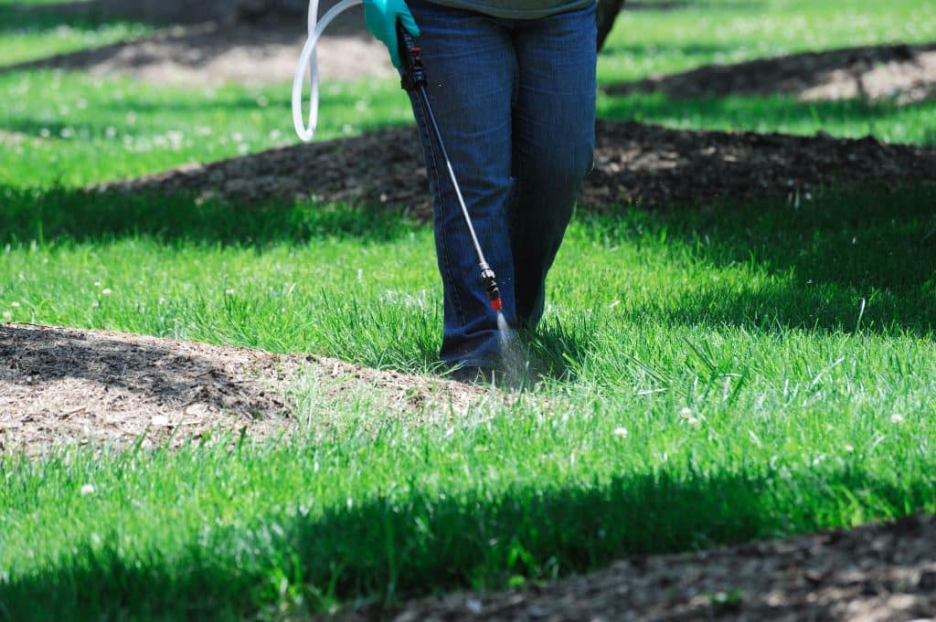How to Get Rid of Weeds Before Laying Sod: 5 Important Steps