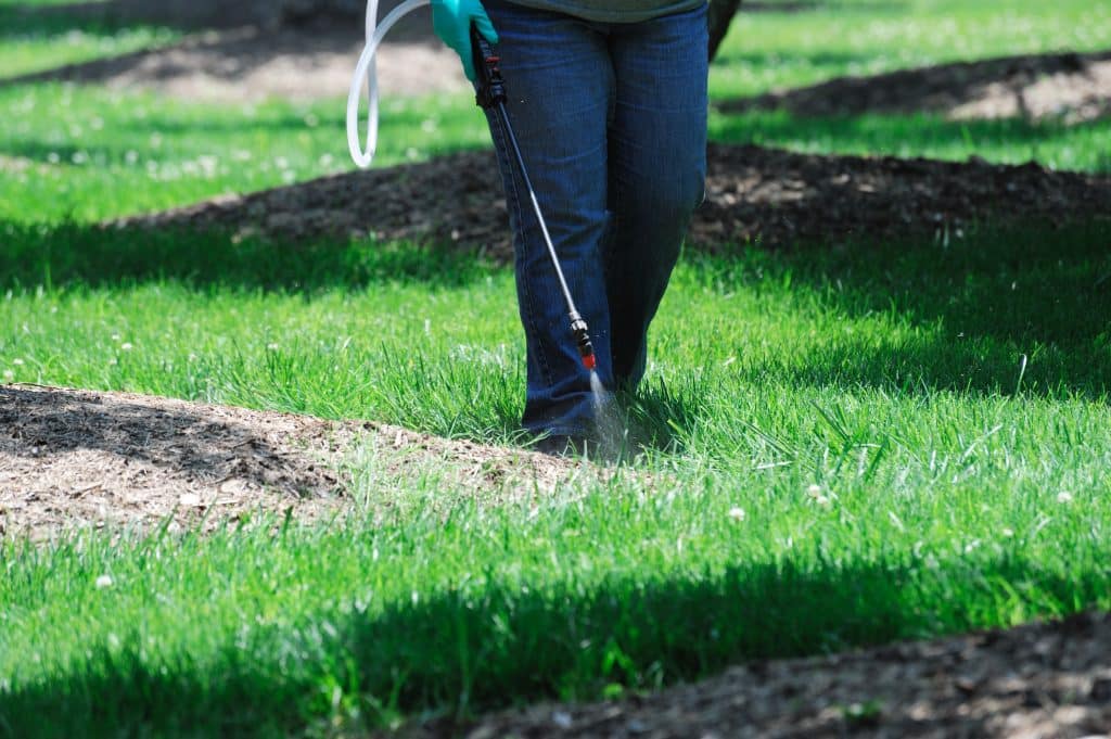 lawn care team sprays to kill weeds