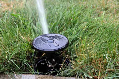sprinkler head close up