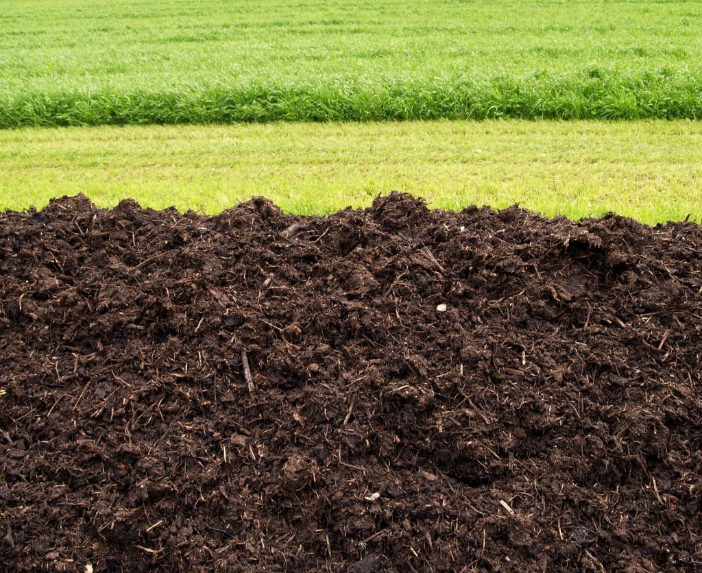 compost in pile