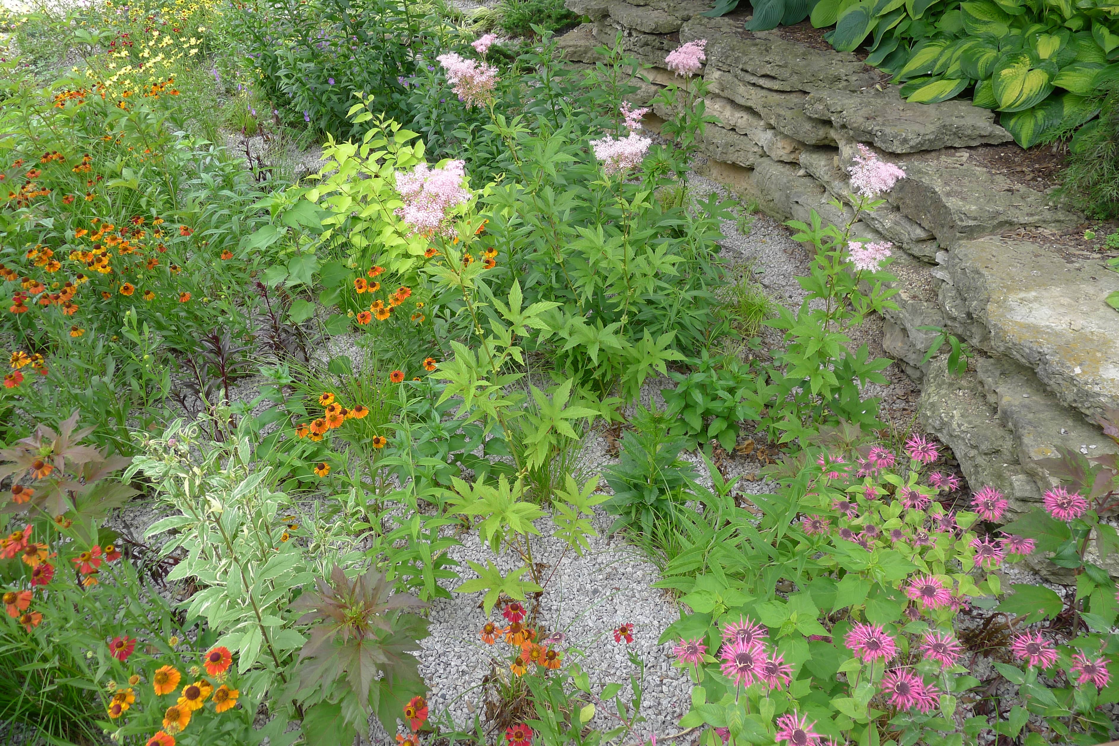 Rain Garden 3 CC