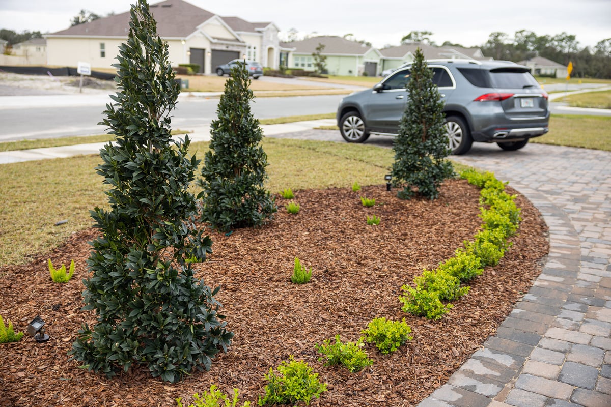 planting near driveway