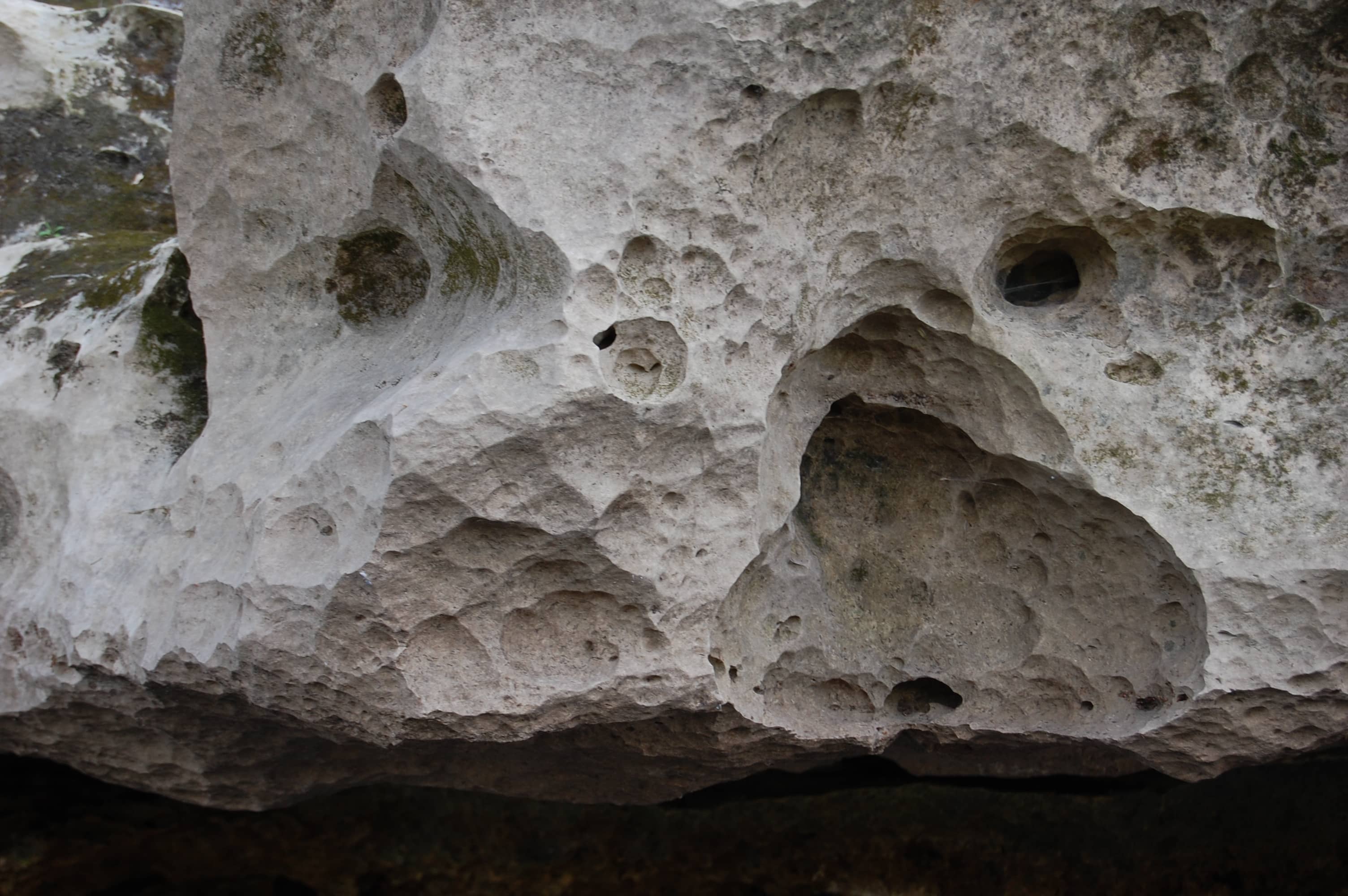 ocala florida limestone CC