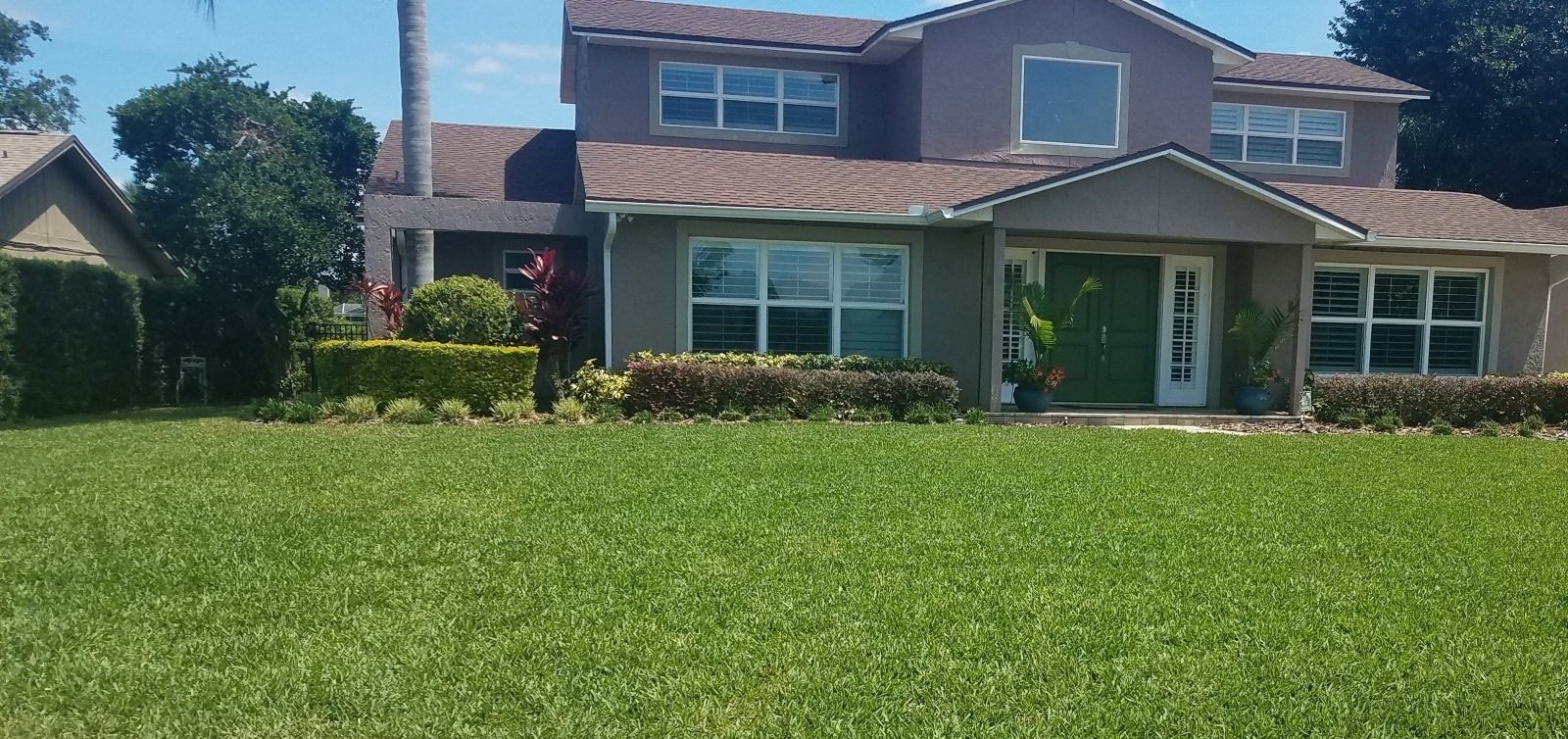 Provista St Augustine sod lawn