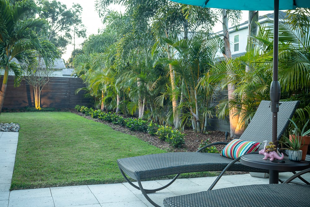 trees and plantings along fence in backyard