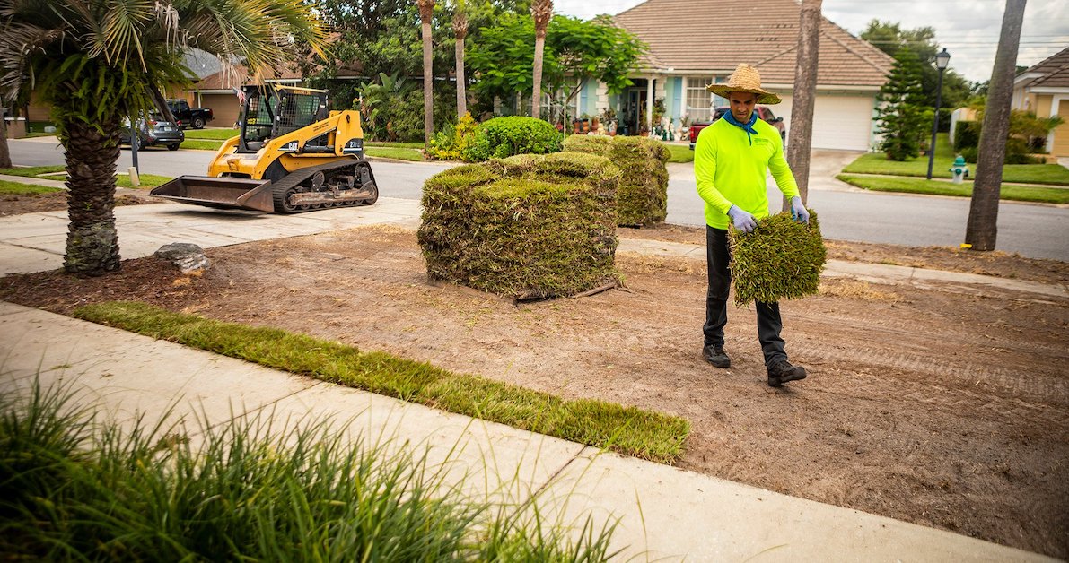 landscape team installs sod 