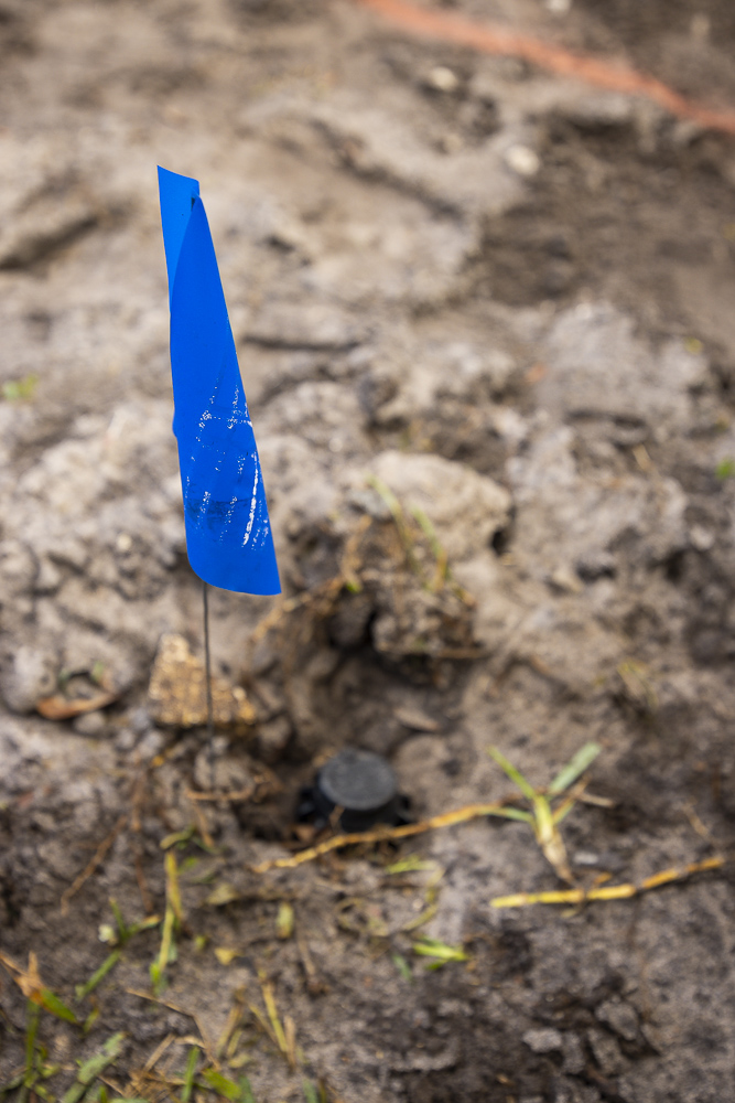 an irrigation head flagged in bare soil