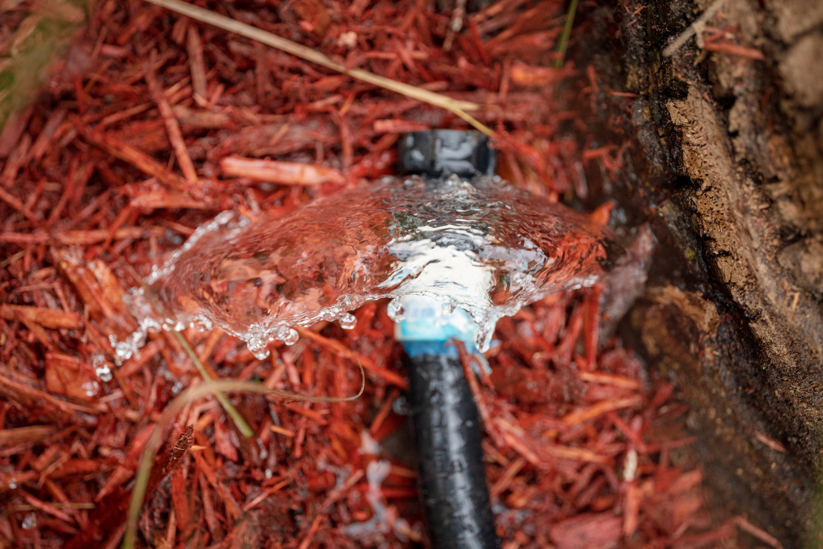 water spraying out of irrigation bubbler