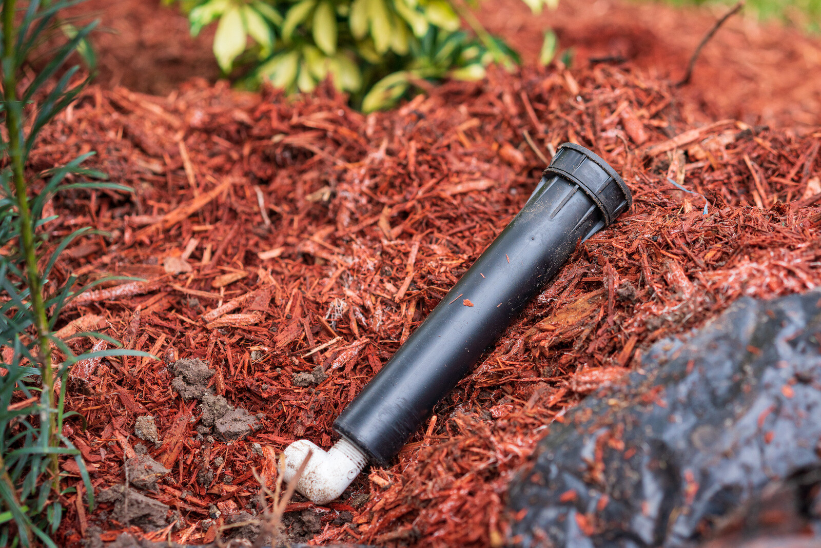 broken sprinkler head laying on ground in mulch