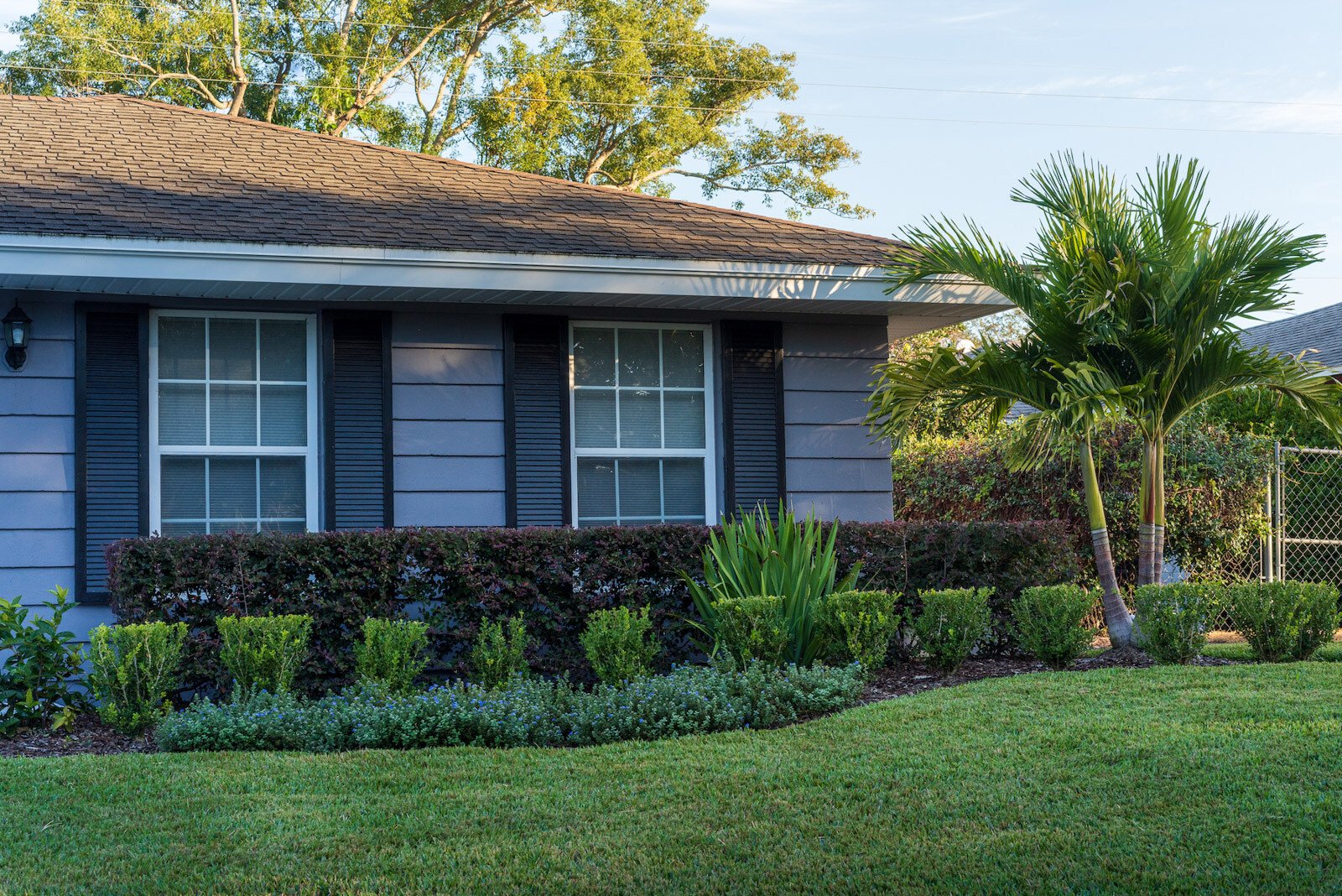 small tree and landscape plants near an orlando home