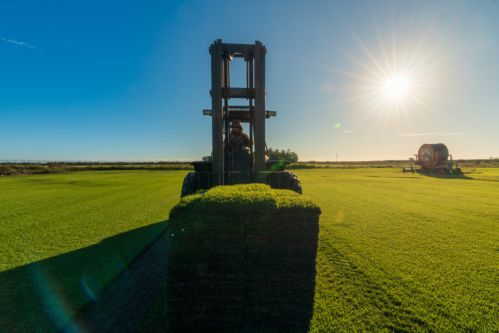 Sod growing company