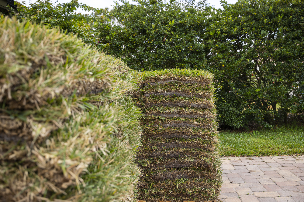 pallets of sod awaiting installation in a central florida landscape