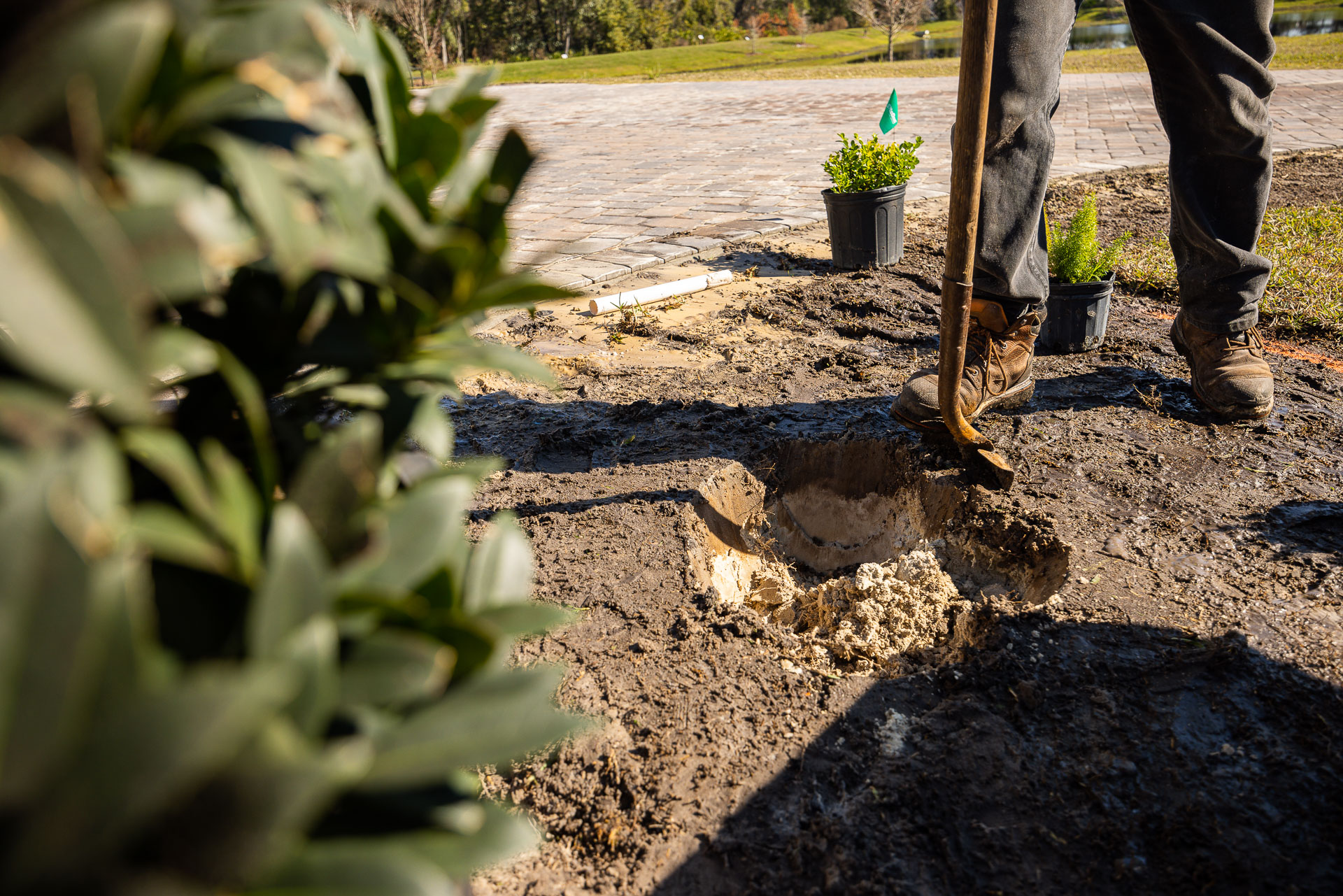 landscape crew members installing new plant material in an orlando planting bed