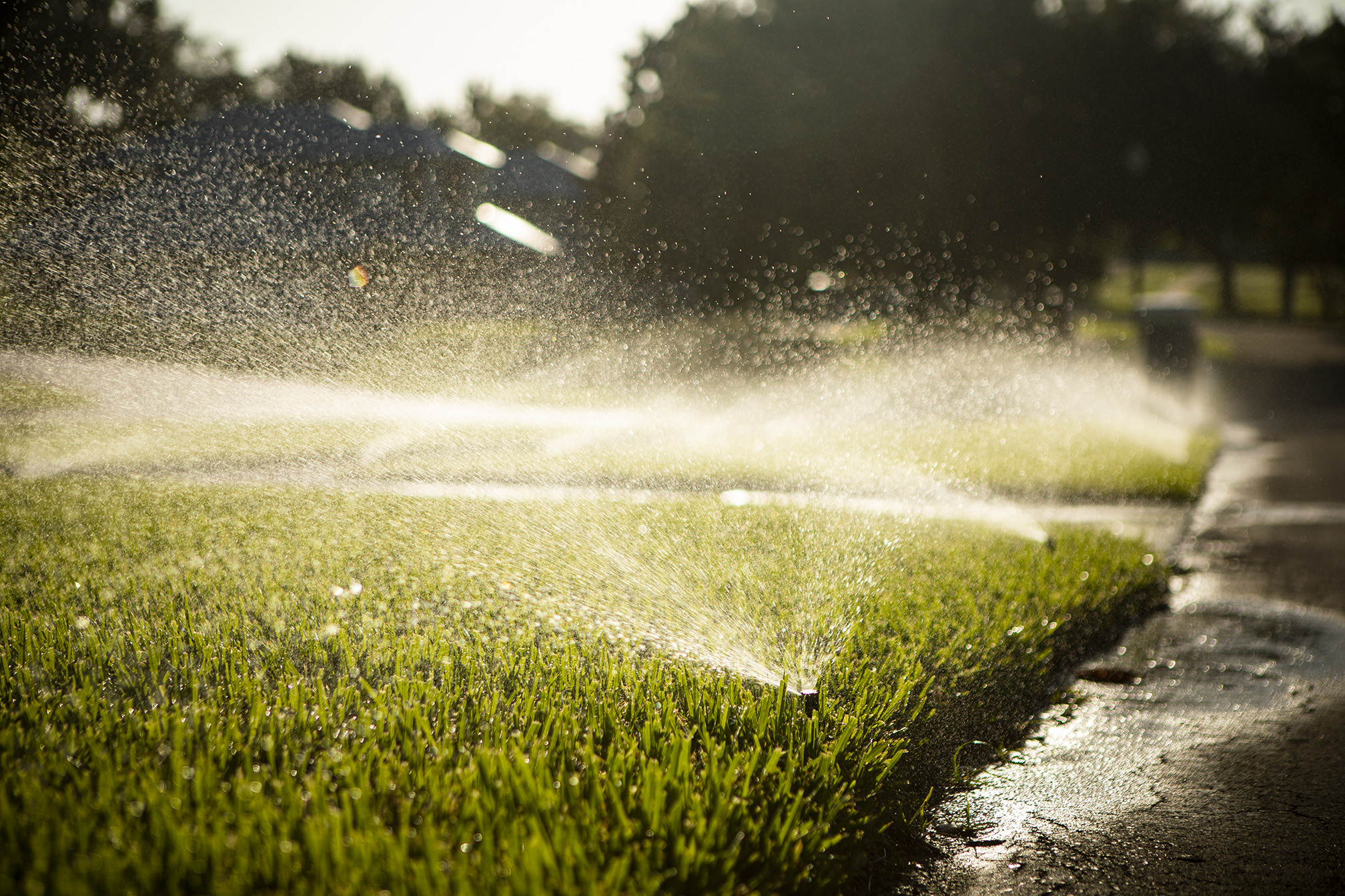 irrigation installed by irrigation contractors in orlando
