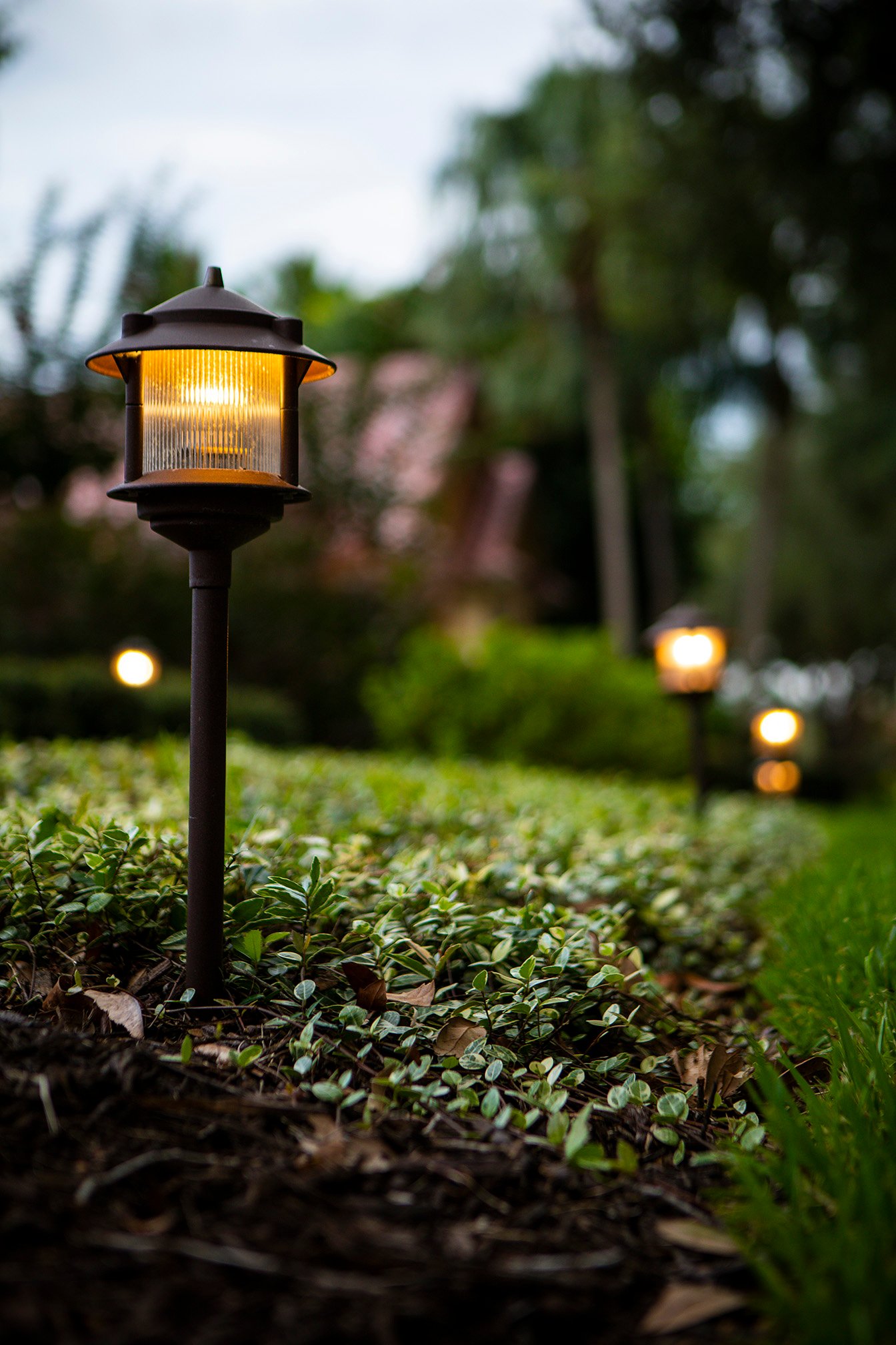 landscape lighting in sod lawn at night
