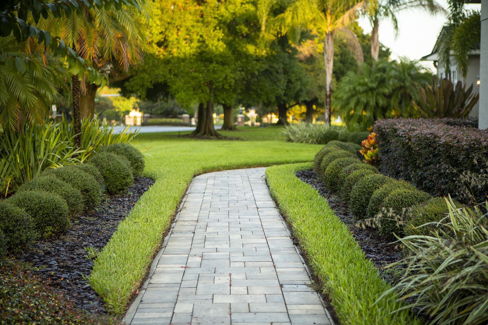Paver walkway surrounded by plants and shrubs