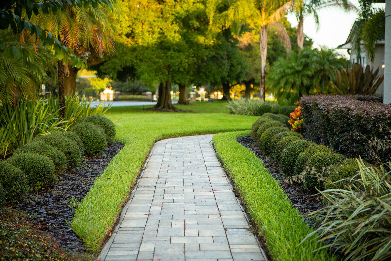 Paver walkway surrounded by plants and shrubs