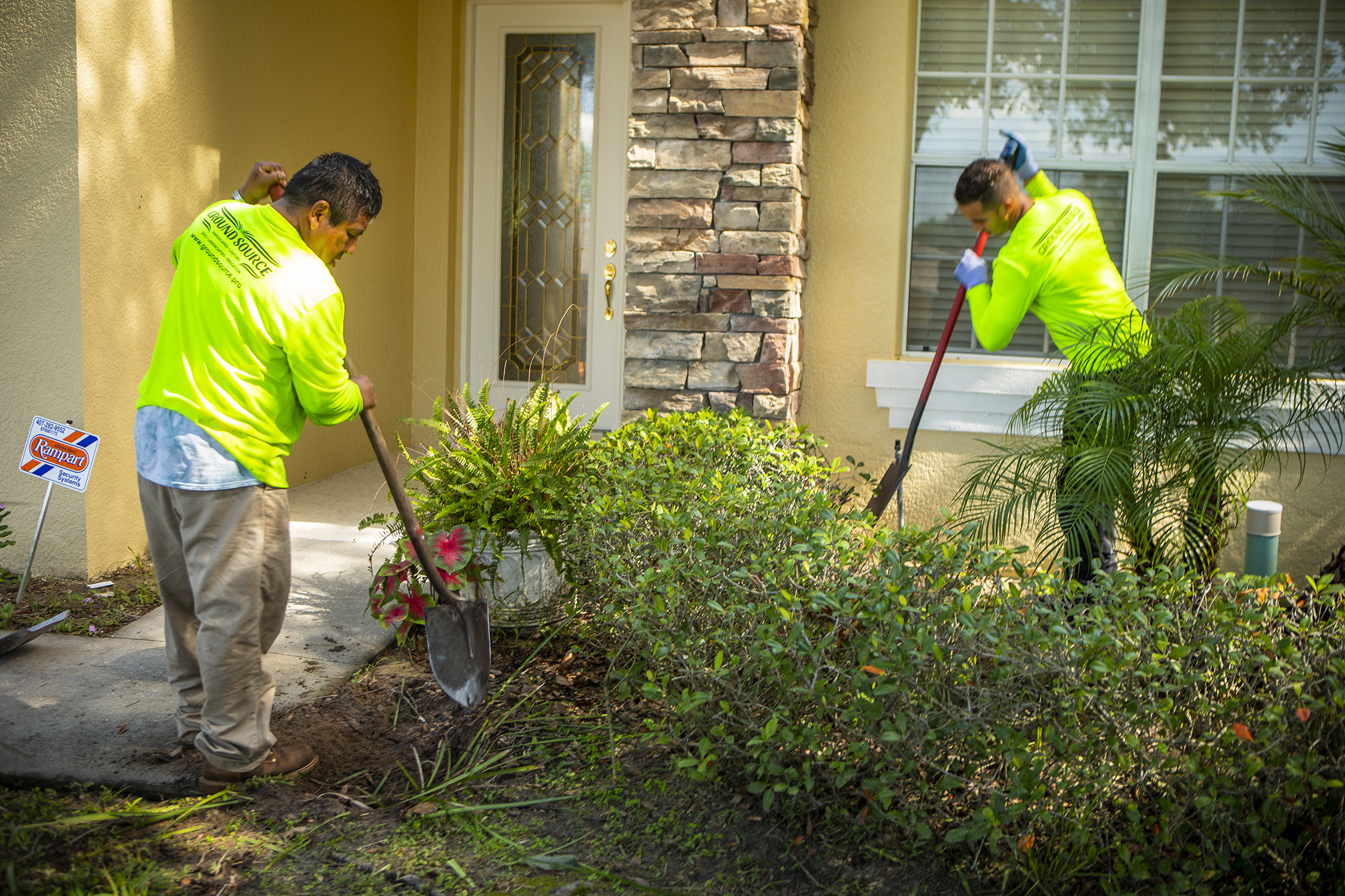 landscape installation team removes old shrubs