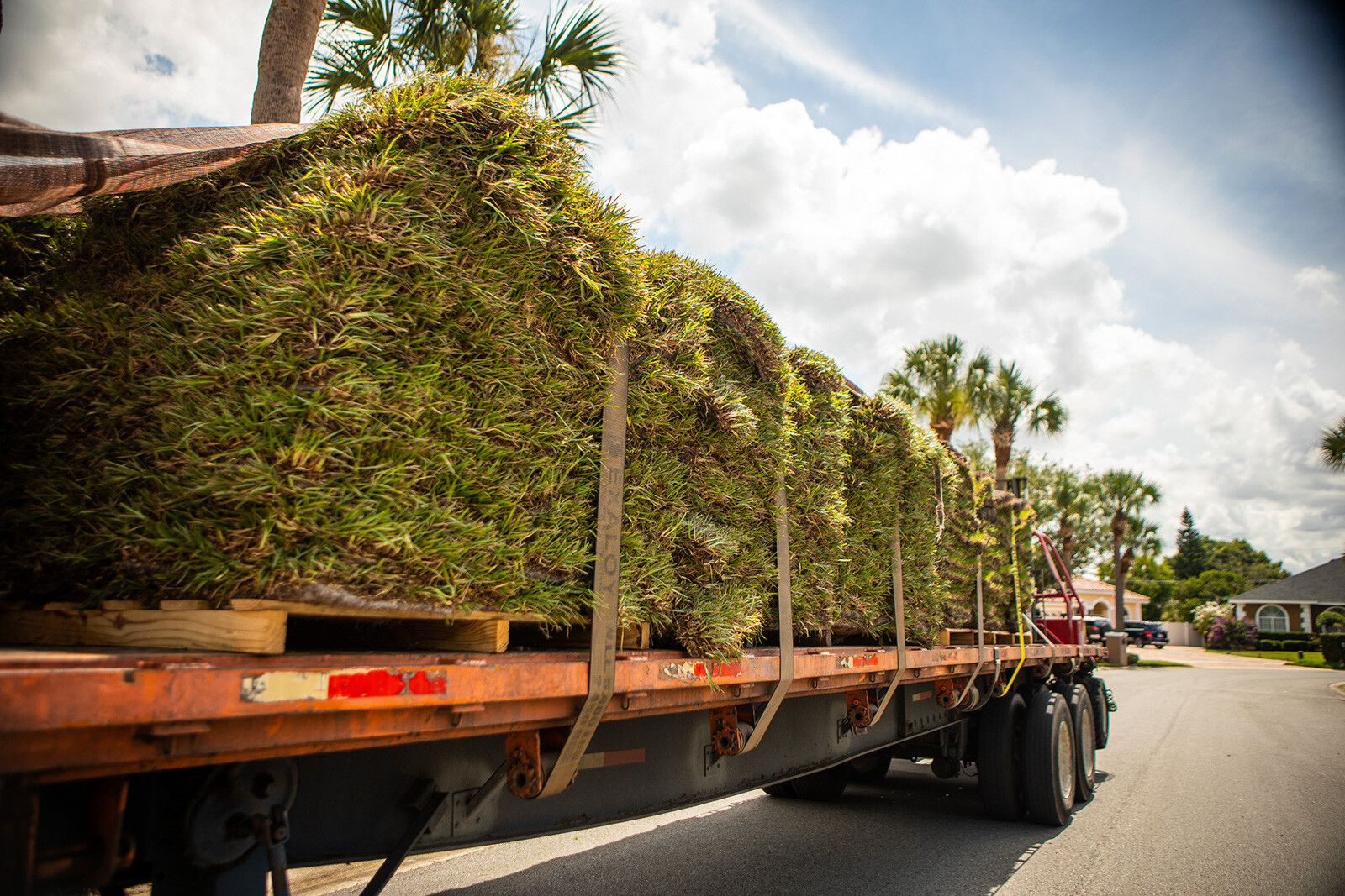 Sod being delivered for installation