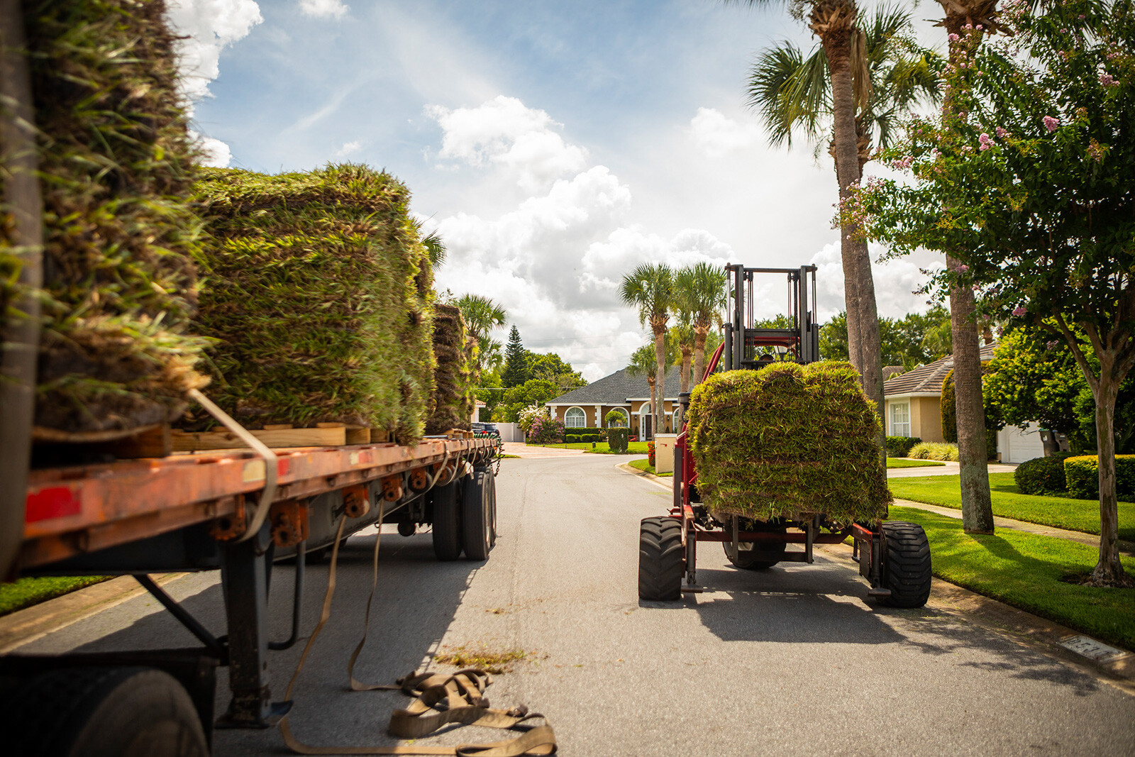 Grass sod to install in lawns