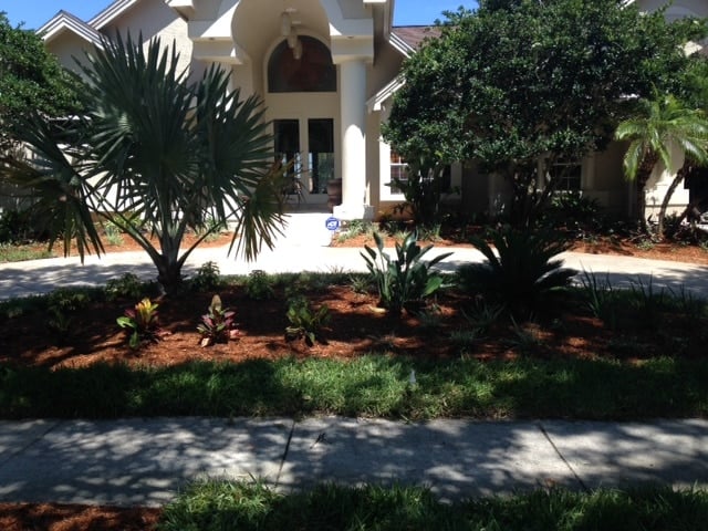 Orlando Landscape Design